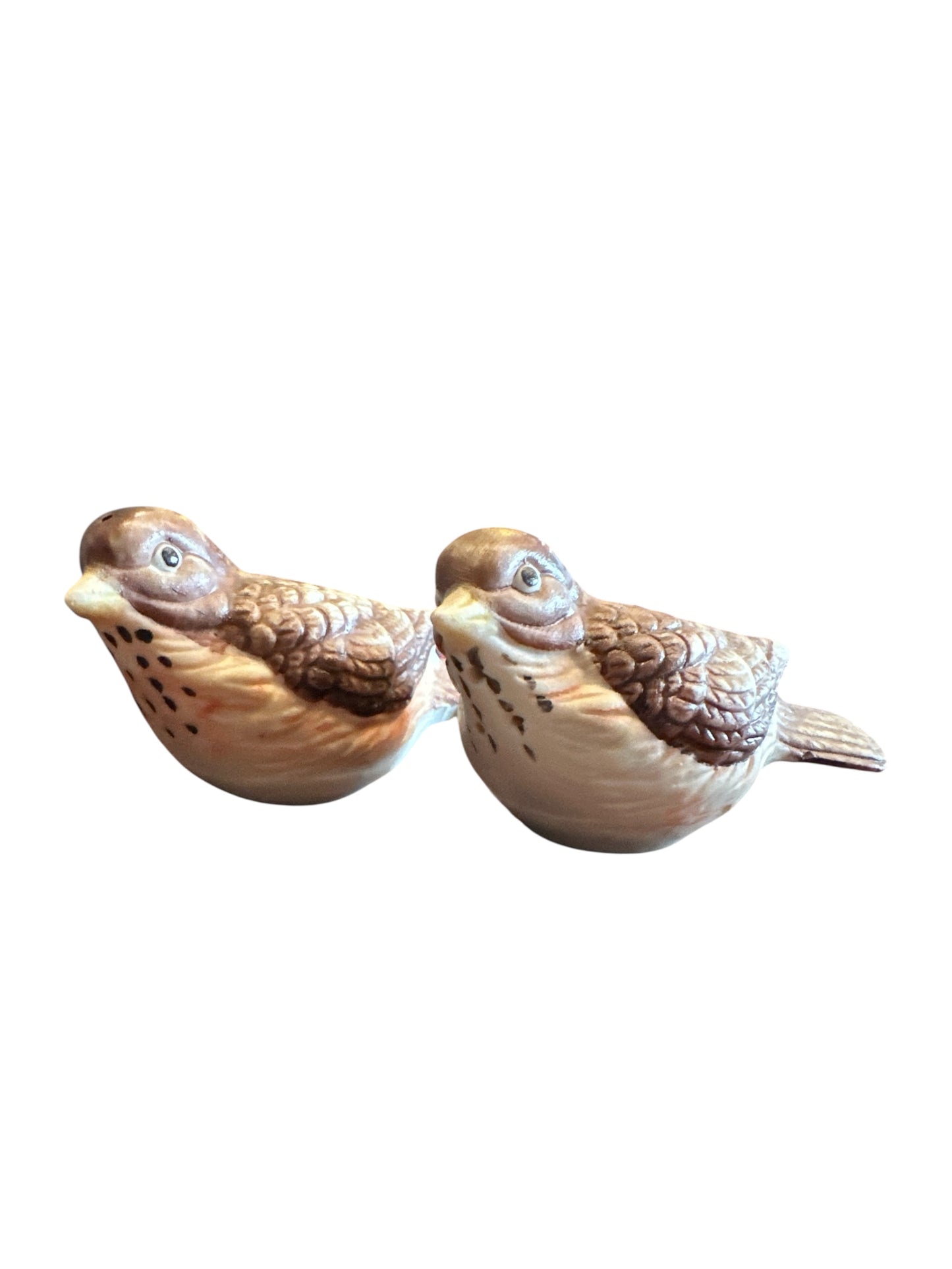 Ceramic Brown Bird Salt and Pepper Set