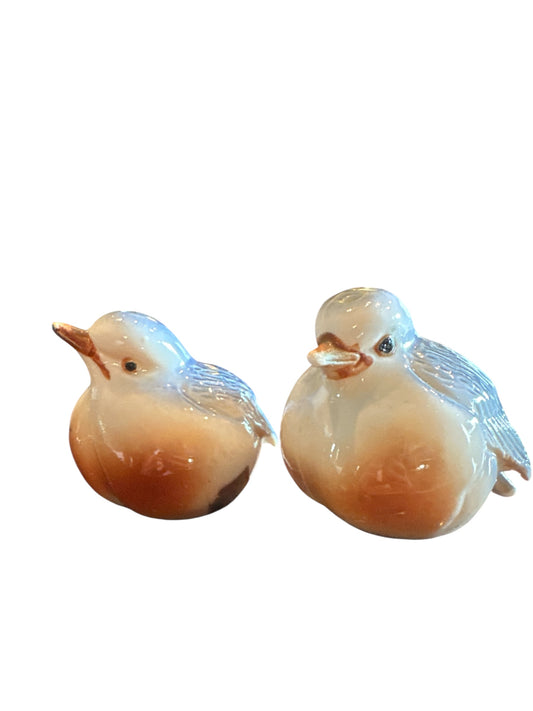 Bone China Bluebird Robin Sparrow Baby Bird Salt and Pepper Shaker