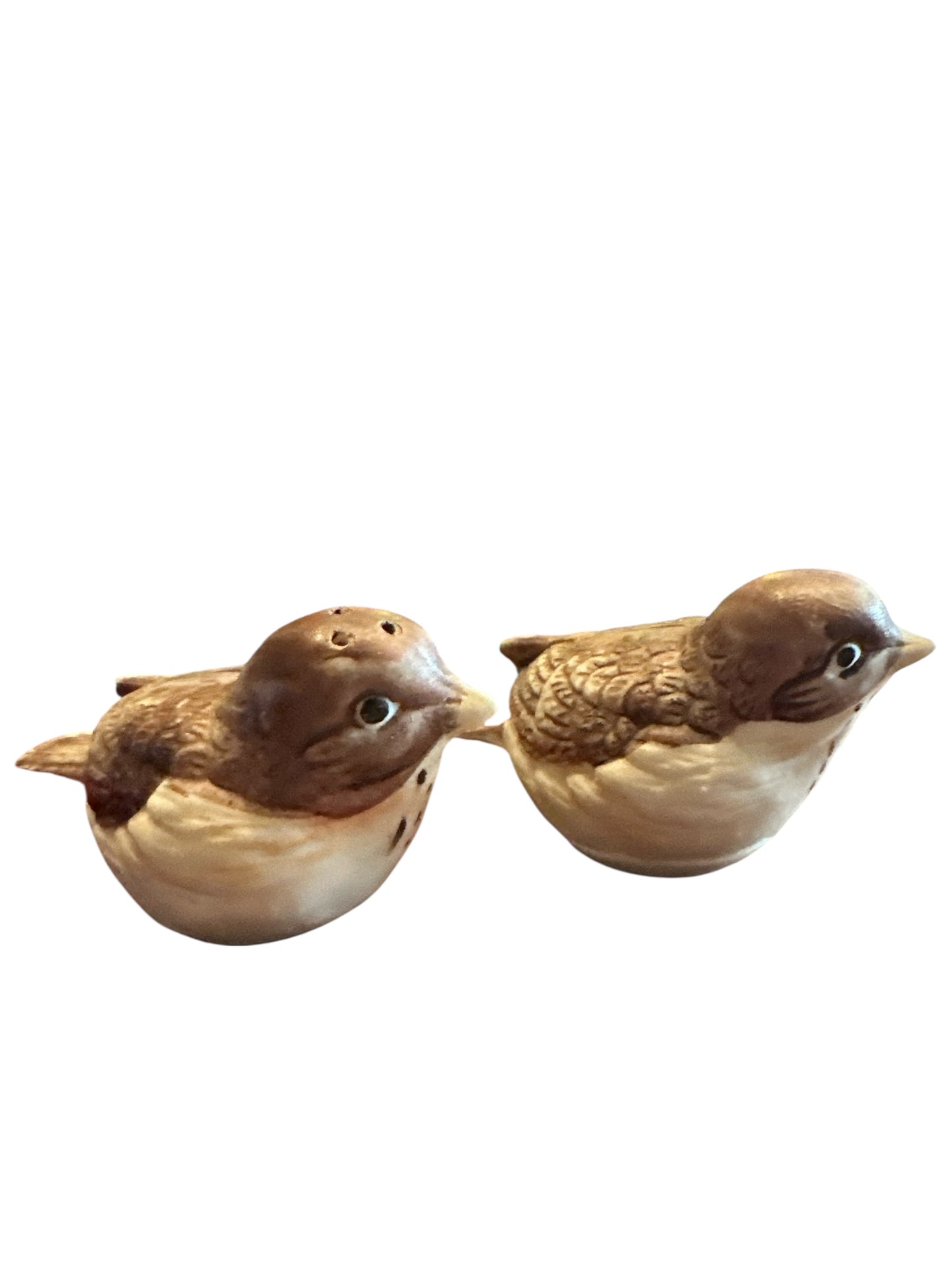 Ceramic Brown Bird Salt and Pepper Set